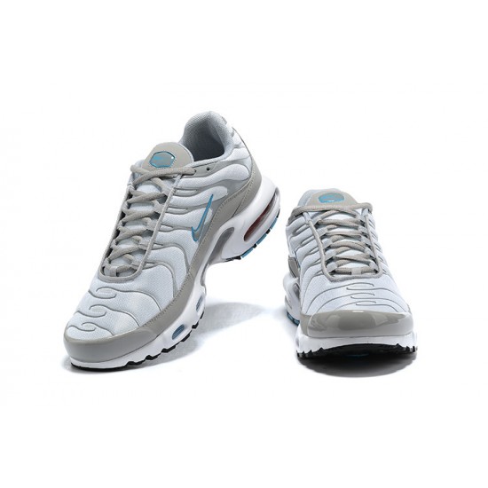 Nike Air Max Plus Tn Pánské Šedá Bílá CZ7552-002 Tenisky