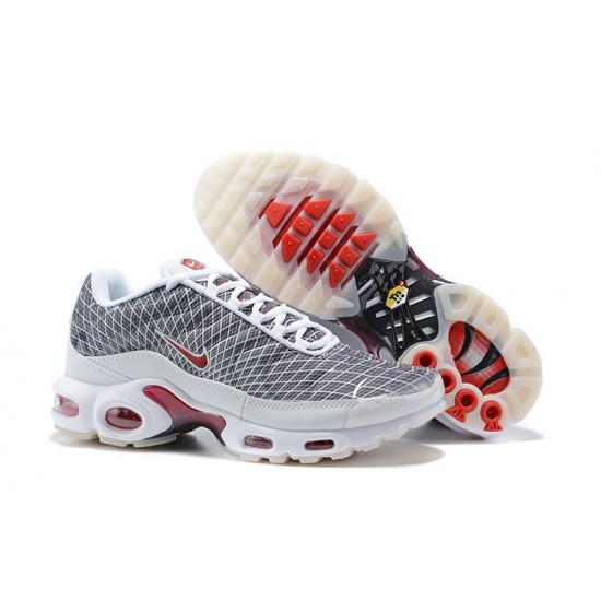 Nike Air Max Plus Tn Pánské Šedá možná Bílá Tenisky