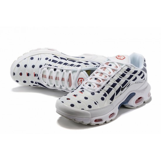 Nike Air Max Plus Tn Pánské Bílá Modrá CI9103-100 Tenisky