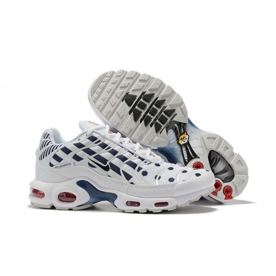 Nike Air Max Plus Tn Pánské Bílá Modrá CI9103-100 Tenisky